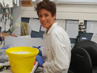 professor sima lev's lab member at work