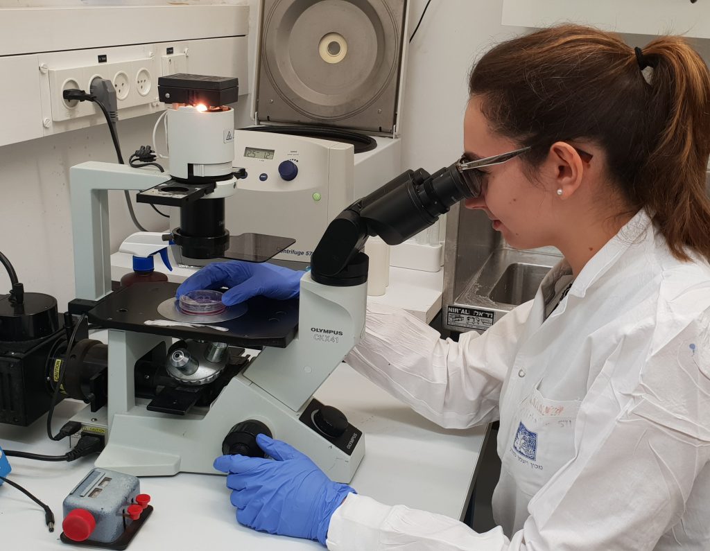 sima lev's lab member at work